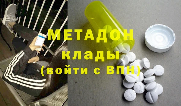 индика Нея