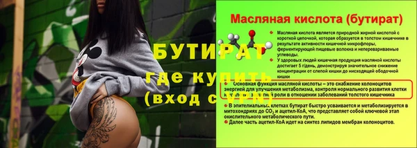 индика Нея
