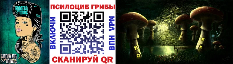 Псилоцибиновые грибы Psilocybe  Амурск 