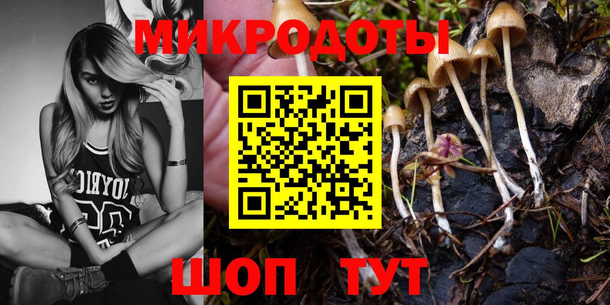 Галлюциногенные грибы мицелий Амурск
